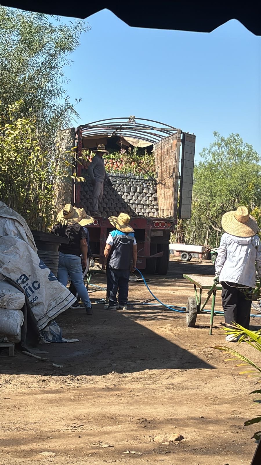 Carga y traslado de plantas